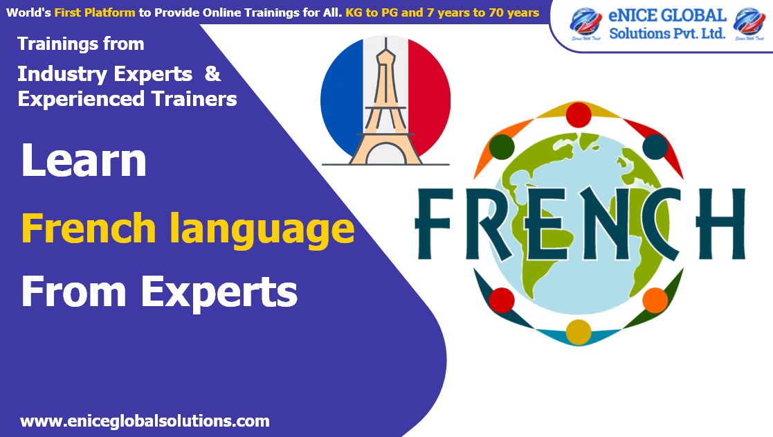 eNICE FRENCH Training Free Demo